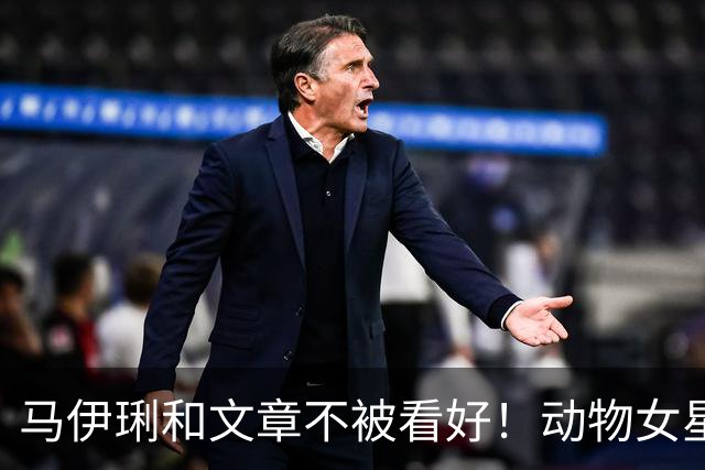马伊琍和文章不被看好！动物女星的单身声明！